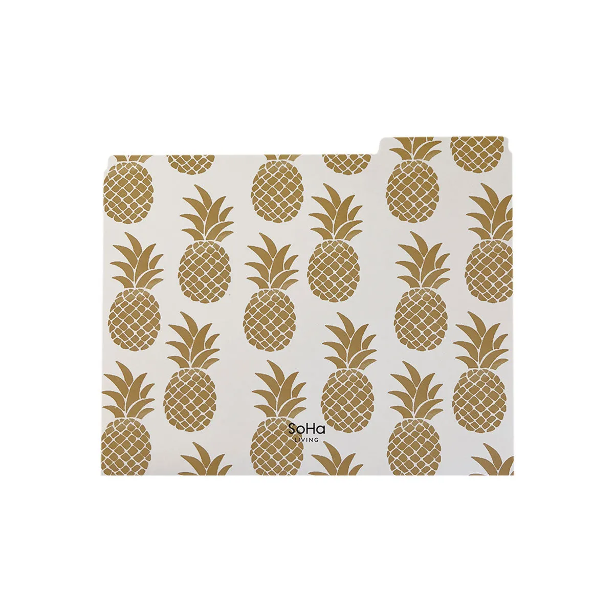 Hawaii Pineapples File Folders, Set of 3